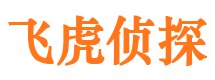 秦安捉小三公司